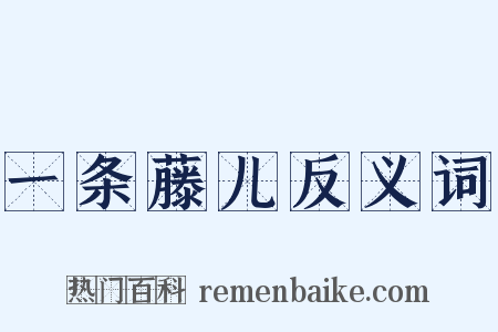 一条藤儿反义词是什么意思的图片